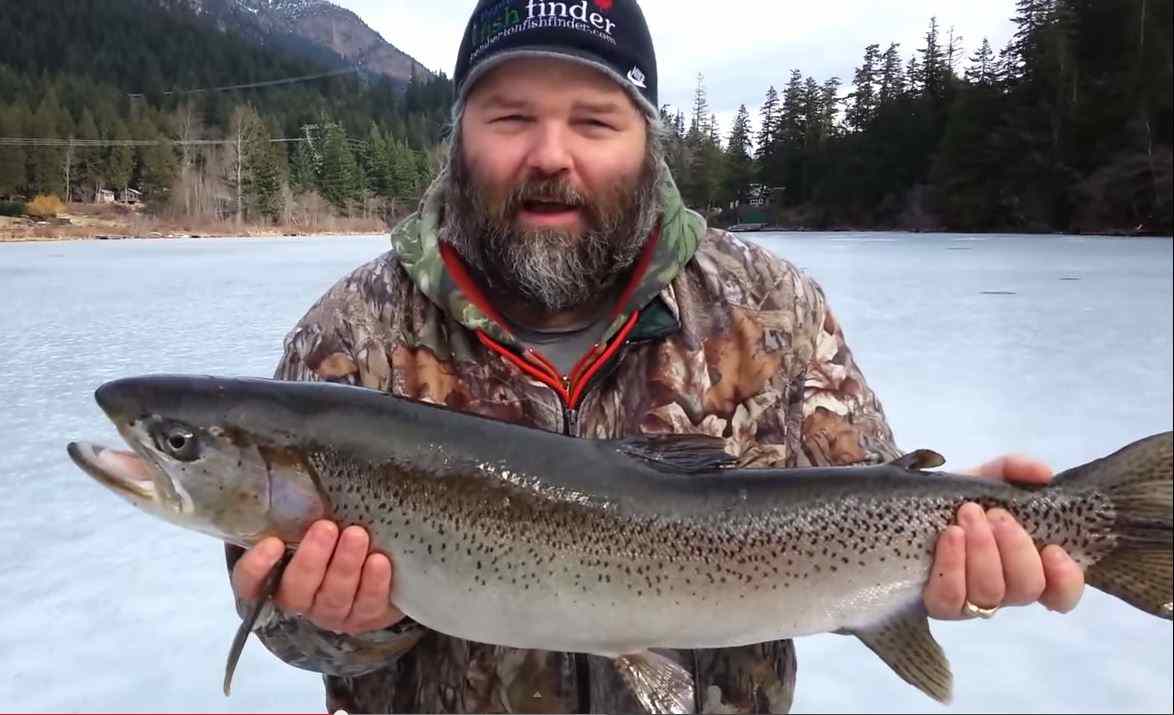 Giant Rainbow Trout Caught While Ice fishing in Pemberton BC Canada