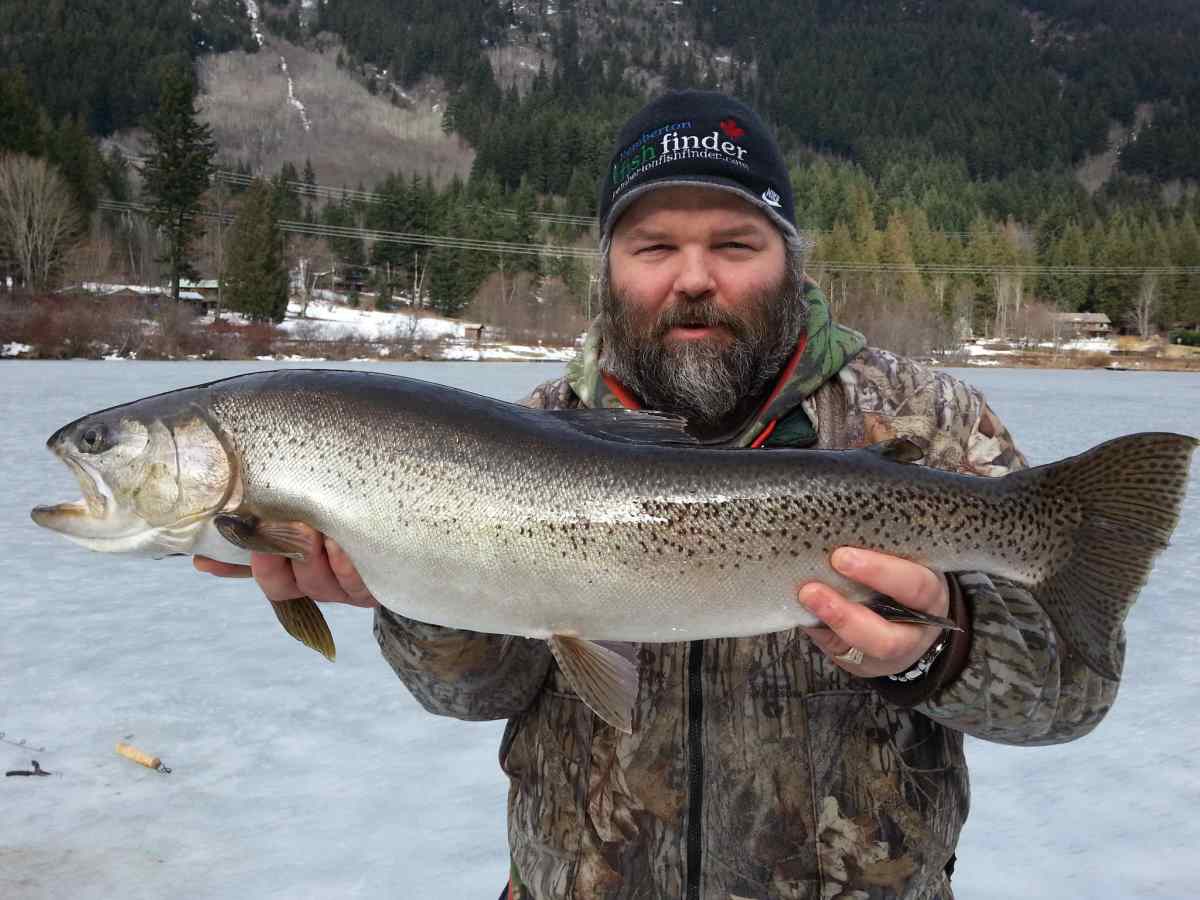 Ice fishing for Huge Rainbow Trout