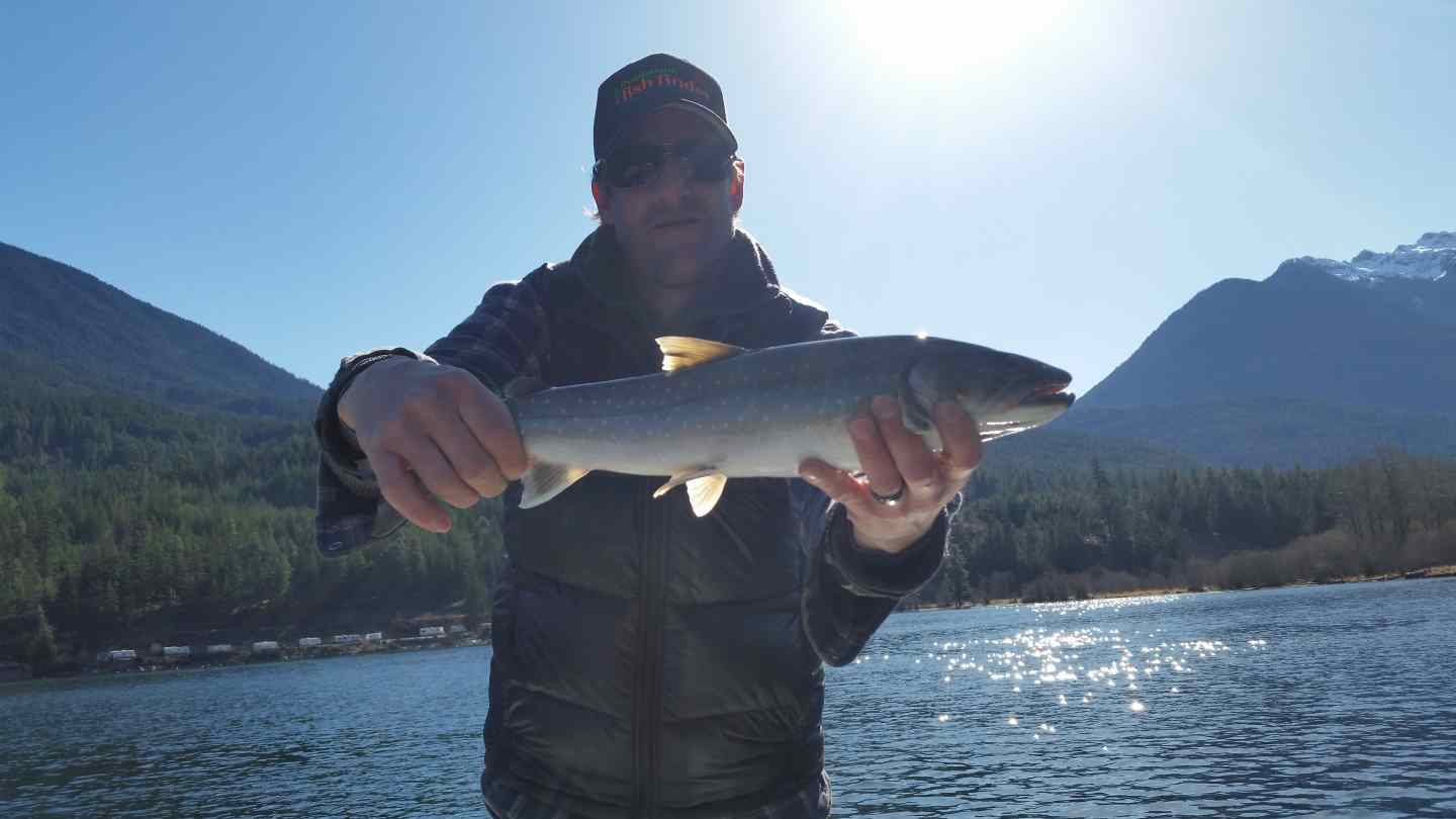 Fishing for Bull Trout in British Columbia BC Fishing Reports
