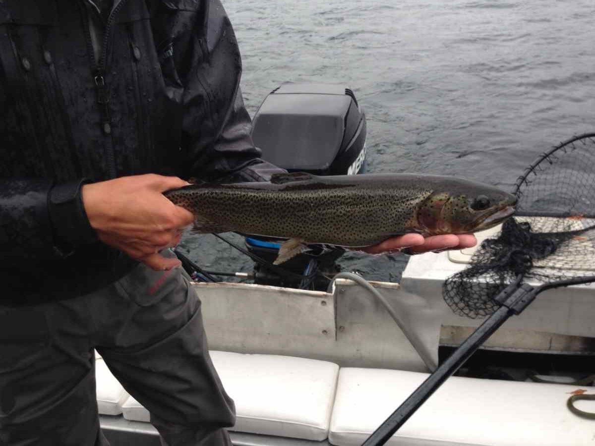 Fishing Alta Lake in Whistler BC