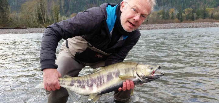Fly fishing for Chum Salmon in BC
