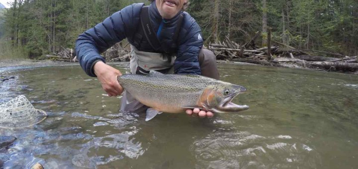 Giant Coastal Cutthroat Trout caught in Pemberton BC