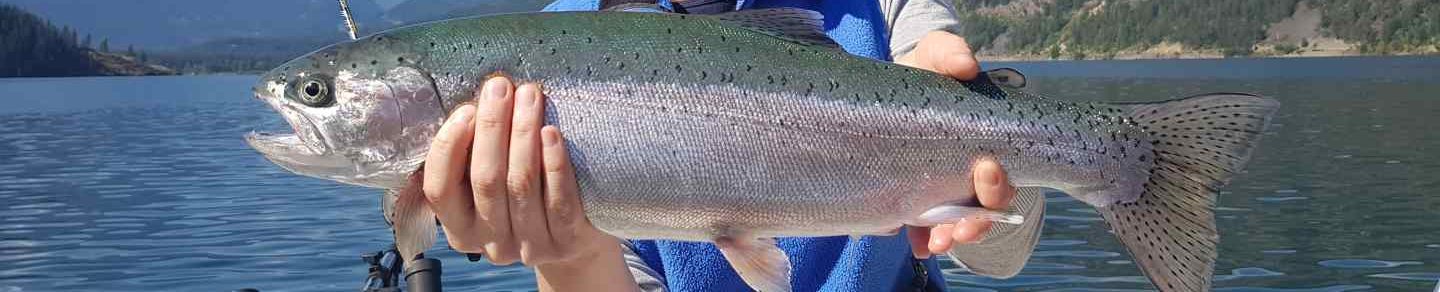 BC Fishing Reports | Pemberton Fish Finder