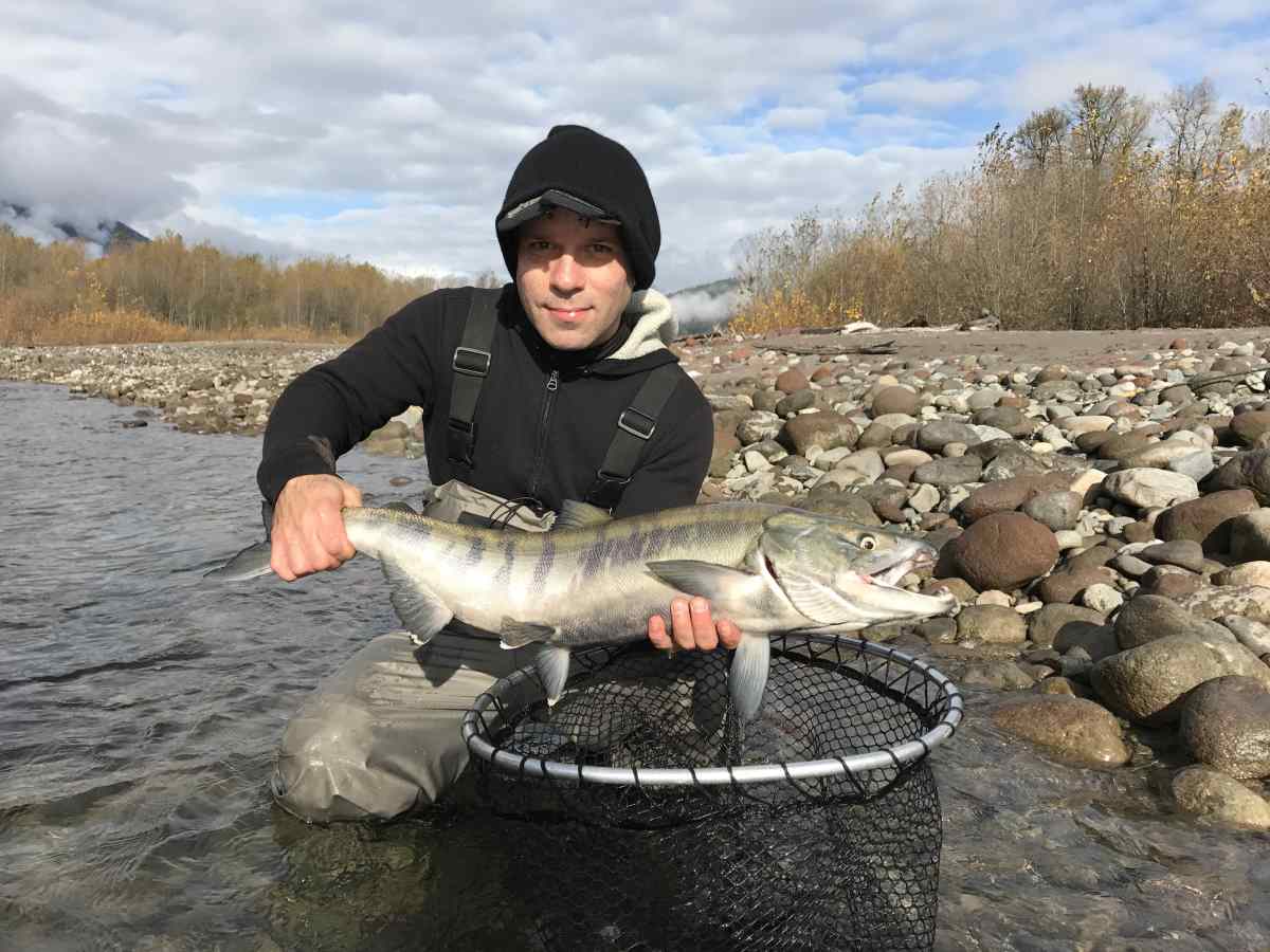 chumsalmonflyfishingsquamishbccanada BC Fishing Reports