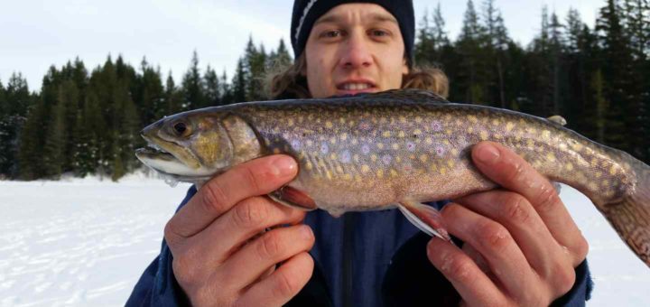 Lake Lucille Brook Trout Ice fishing in Whistler BC