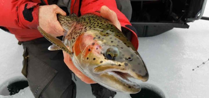 Whistler BC Ice fishing report and Update