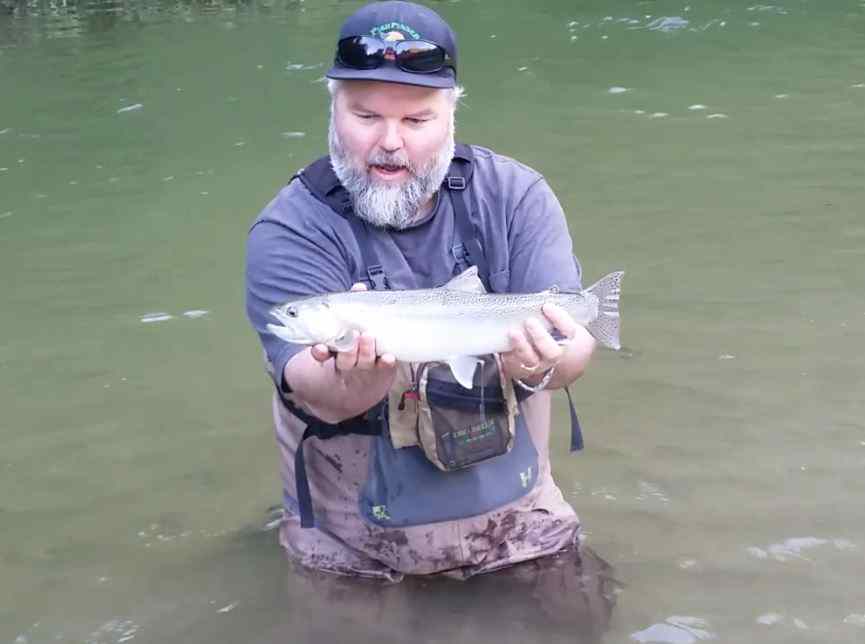 Fly fishing Coastal Cutthroat Trout in BC Canada BC Fishing Reports