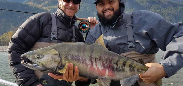 Best Chum Salmon fly fishing in BC