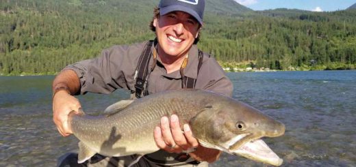 Summer Fly Fishing and Fishing Trips in Whistler and Pemberton British Columbia Canada